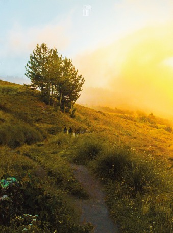 Caminos